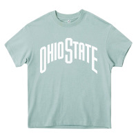 Arona OSU, athletics gear Heavy Core Tee - linhVisuals