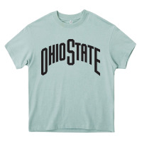 Arona OSU, athletics gear Heavy Core Tee - linhVisuals