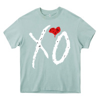 Arona xo Heavy Core Tee - linhVisuals