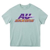 Arona alfred university Heavy Core Tee - linhVisuals