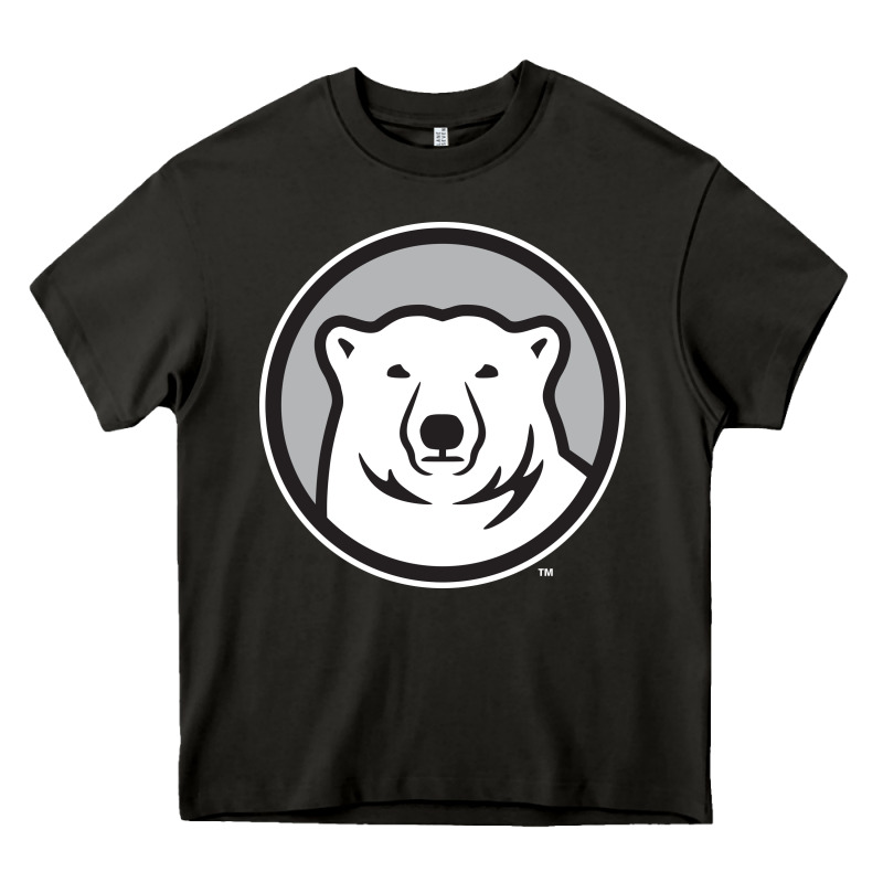 Bowdoin College Heavy Core Tee by linhVisuals | Teevron