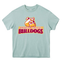 Arona brooklyn college Heavy Core Tee - linhVisuals