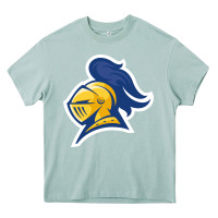 Arona Carleton College Heavy Core Tee - linhVisuals