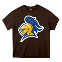 Chocolate Brown Carleton College Heavy Core Tee - linhVisuals