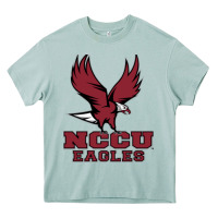 Arona nccu eagles Heavy Core Tee - linhVisuals