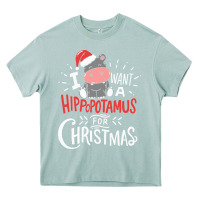 Arona i want hippopotamus for christmas hippo xmas gift Heavy Core Tee - linhVisuals