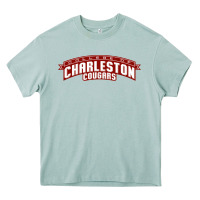 Arona charleston cougars Heavy Core Tee - linhVisuals