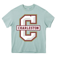 Arona charleston cougars Heavy Core Tee - linhVisuals