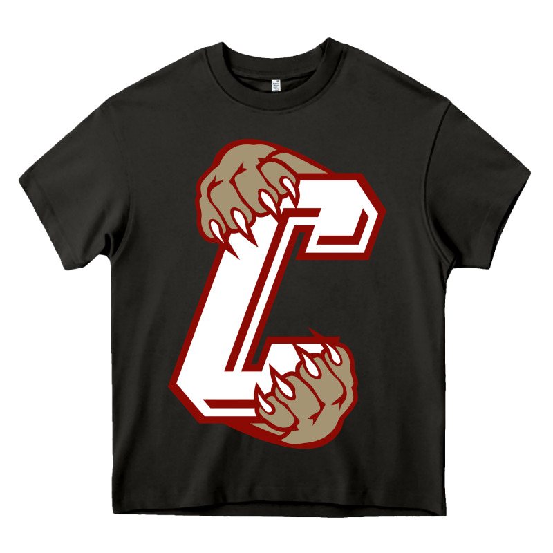 Charleston Cougars Heavy Core Tee by linhVisuals | Teevron
