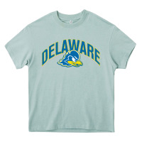 Arona delaware blue hens Heavy Core Tee - linhVisuals