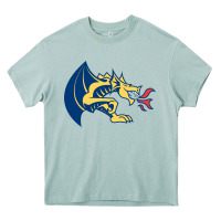 Arona drexel dragons Heavy Core Tee - linhVisuals
