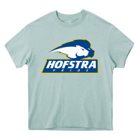 Arona hofstra pride Heavy Core Tee - linhVisuals