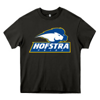 Asphalt hofstra pride Heavy Core Tee - linhVisuals