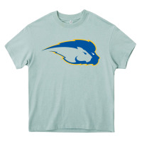 Arona hofstra pride Heavy Core Tee - linhVisuals