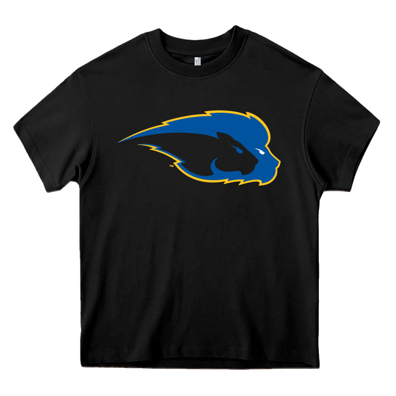 Hofstra Pride Heavy Core Tee by linhVisuals | Teevron