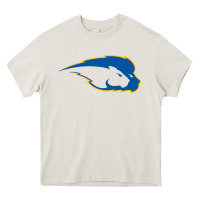 Cream hofstra pride Heavy Core Tee - linhVisuals