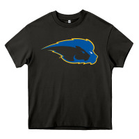 Asphalt hofstra pride Heavy Core Tee - linhVisuals