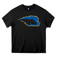 Black hofstra pride Heavy Core Tee - linhVisuals