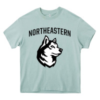 Arona northeastern huskies Heavy Core Tee - linhVisuals