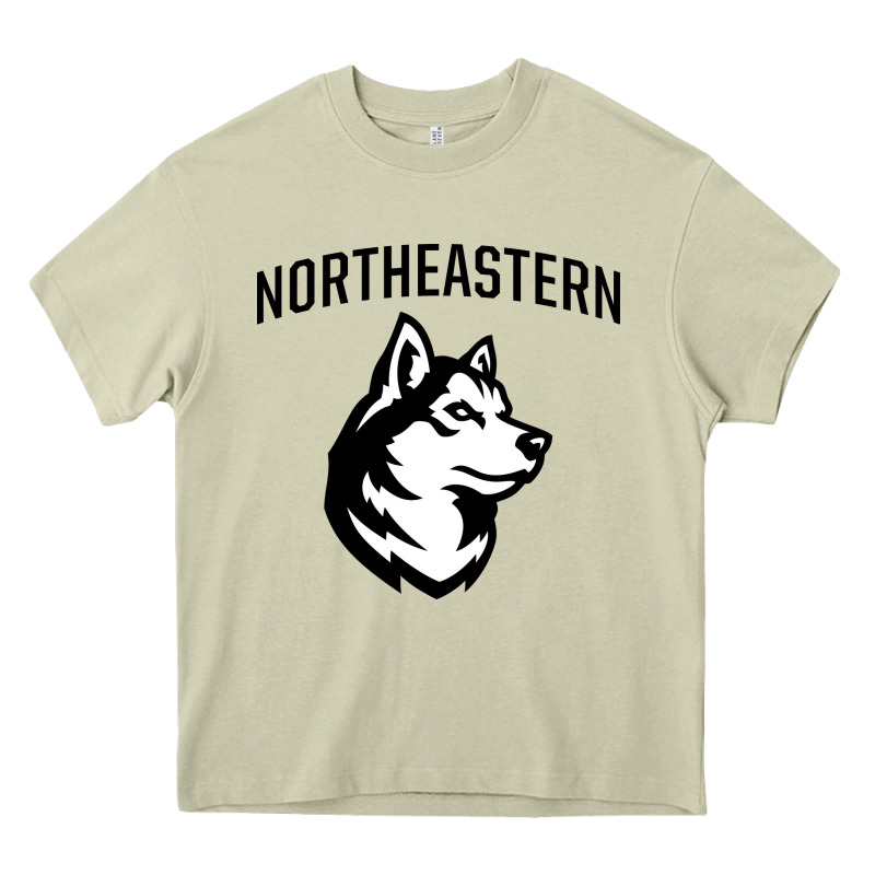 Northeastern Huskies Heavy Core Tee by linhVisuals | Teevron