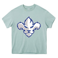 Arona trois rivières ice hockey Heavy Core Tee - linhVisuals