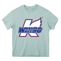 Arona Kalamazoo ice hockey Heavy Core Tee - linhVisuals