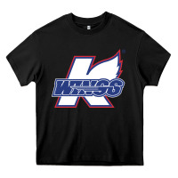 Black Kalamazoo ice hockey Heavy Core Tee - linhVisuals