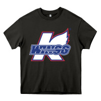 Asphalt Kalamazoo ice hockey Heavy Core Tee - linhVisuals