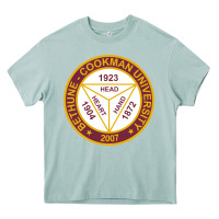 Arona bethune cookman university sea Heavy Core Tee - linhVisuals