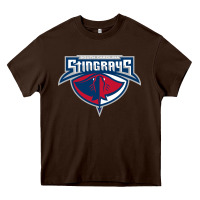 Chocolate Brown south carolina stingrays Heavy Core Tee - linhVisuals