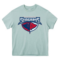 Arona south carolina stingrays Heavy Core Tee - linhVisuals
