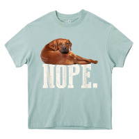 Arona nope lazy rhodesian ridgeback t shirt dog lover gift tee Heavy Core Tee - linhVisuals