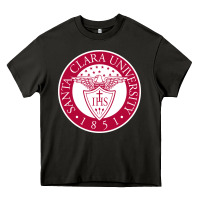 Asphalt santa clara u seal Heavy Core Tee - linhVisuals