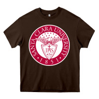 Chocolate Brown santa clara u seal Heavy Core Tee - linhVisuals