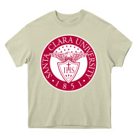 Mossy santa clara u seal Heavy Core Tee - linhVisuals
