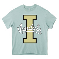 Arona idaho vandals Football team Heavy Core Tee - linhVisuals