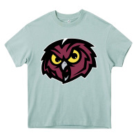 Arona temple owls Heavy Core Tee - linhVisuals