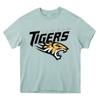 Arona towson tigers Heavy Core Tee - linhVisuals