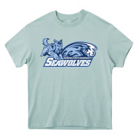 Arona sonoma state seawolves Heavy Core Tee - linhVisuals