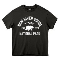 Asphalt womens new river gorge national park bear west virginia nature v neck Heavy Core Tee - linhVisuals