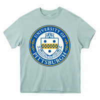 Arona university of pittsburgh Heavy Core Tee - linhVisuals