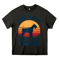 Asphalt schnauzer just a boy who loves dogs men retro vintage sunset raglan ba Heavy Core Tee - linhVisuals