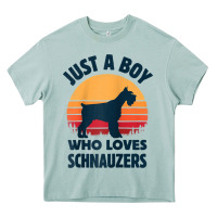 Arona schnauzer just a boy who loves dogs men retro vintage sunset raglan ba Heavy Core Tee - linhVisuals