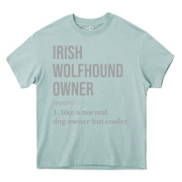 Arona irish wolfhound dog funny classic Heavy Core Tee - linhVisuals