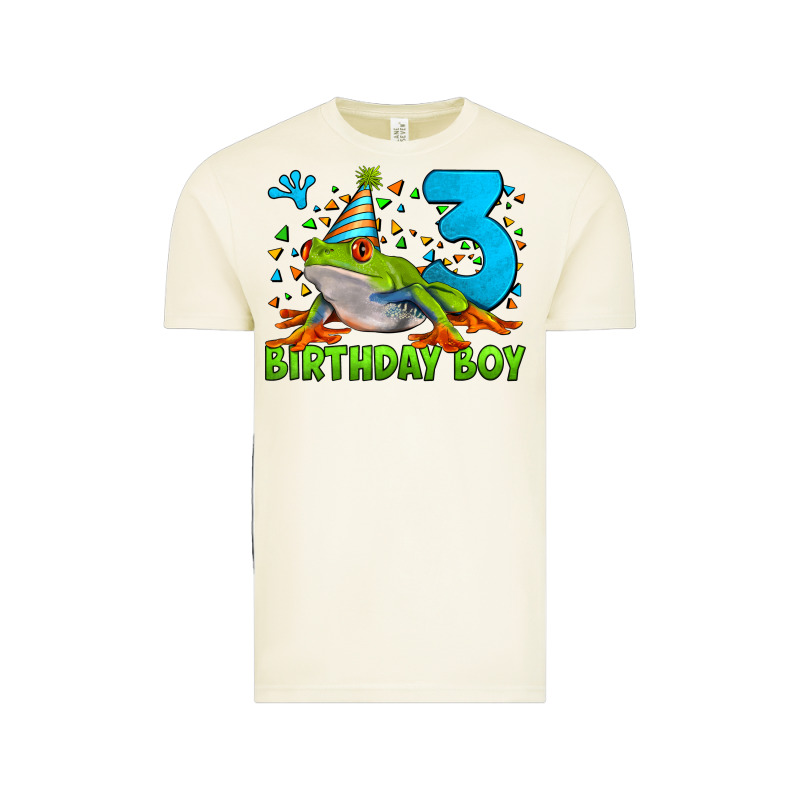 Birthday Boy Frog Age 3 Vintage Tee by LillyAllenDesigns | Teevron