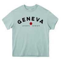Arona geneva switzerland clothing gifts and souvenirs Heavy Core Tee - linhVisuals