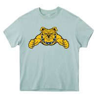 Arona north carolina a&t aggies Heavy Core Tee - linhVisuals