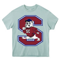 Arona south carolina state bulldogs Heavy Core Tee - linhVisuals