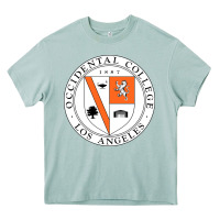 Arona college of occidental Heavy Core Tee - linhVisuals
