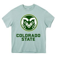 Arona colorado state rams Heavy Core Tee - linhVisuals